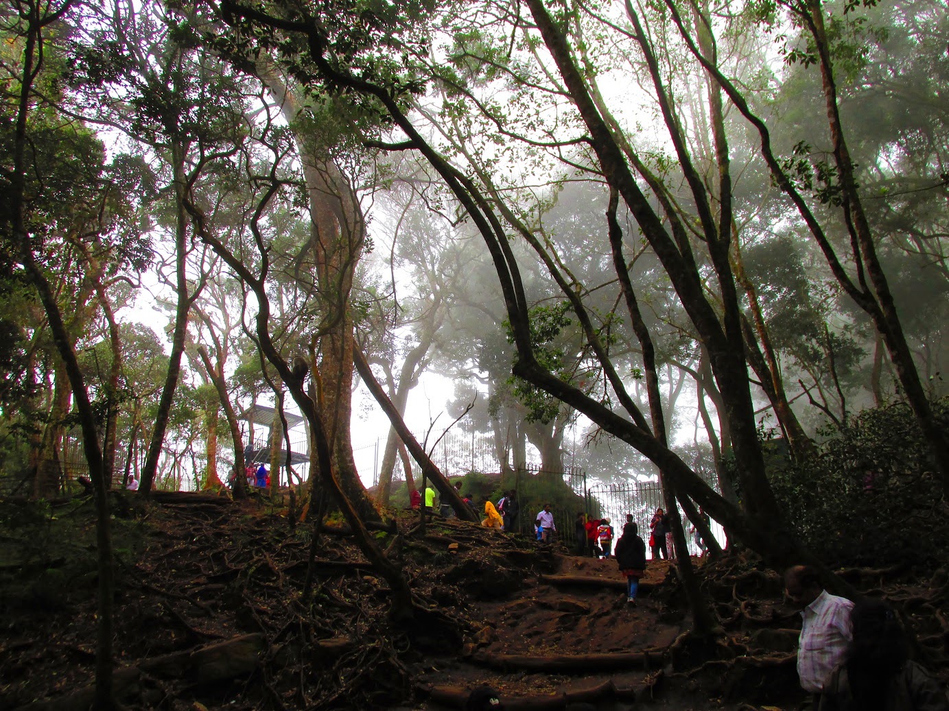 The EYE of Nature view from Guna Caves (Devil’s Kitchen), Kodaikanal