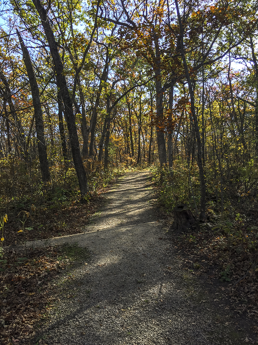 Hiking the Flint Rock Trail at Blue Mound State Park