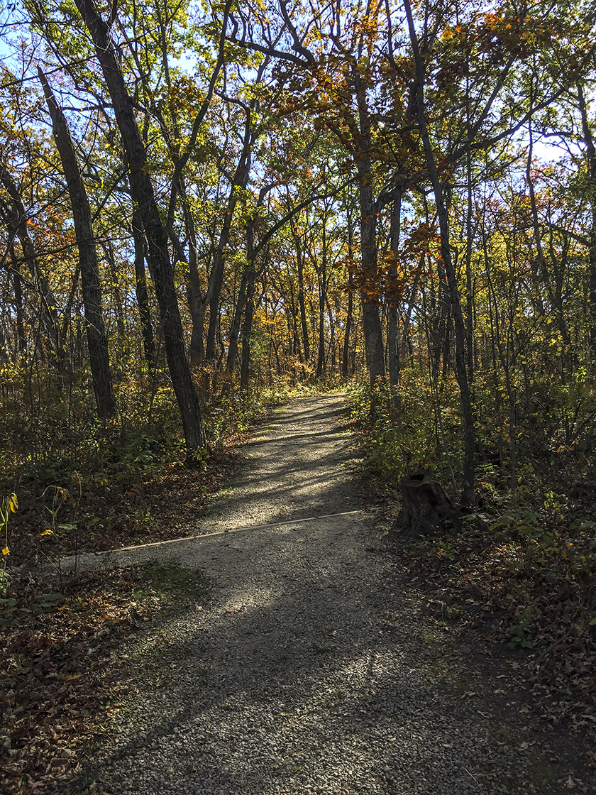 The Flint Rock Trail at Blue Mound State Park