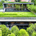 Green Roof House in Singapore - The Wall House
