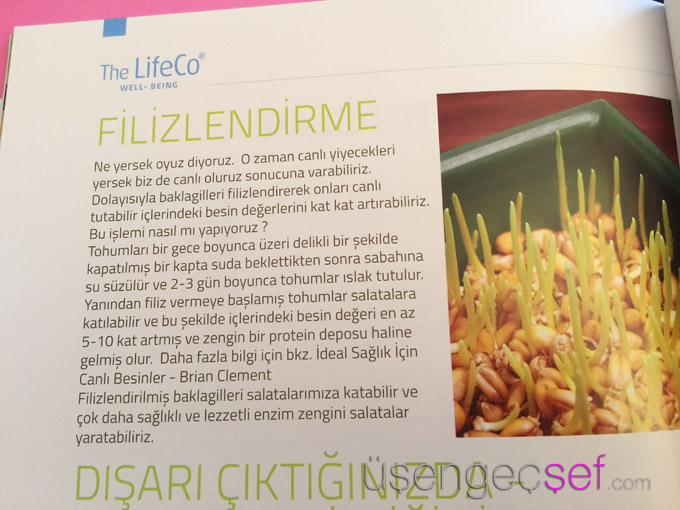 lifeco-raw-vegan-beslenme-mercimek-filizlendirme