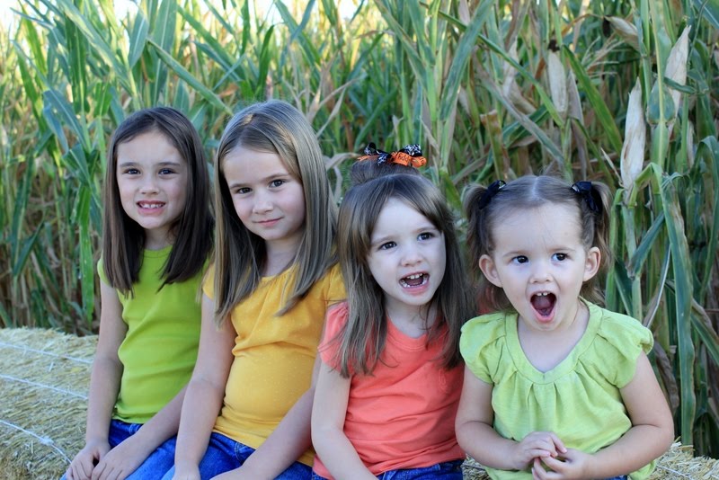 My Family is Forever!: Banducci Family Farms