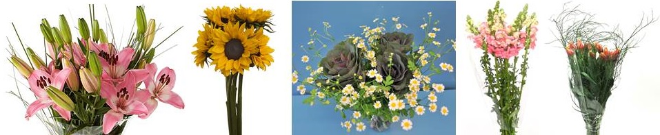 The Flower Magician Gorgeous Happy Sunshine Seaside Wedding Bouquet