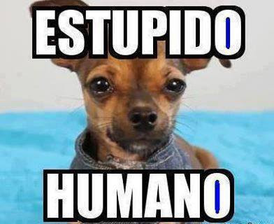 123 memes de todo tipo para facebook 2018 123 memes de todo tipo para facebook 2018