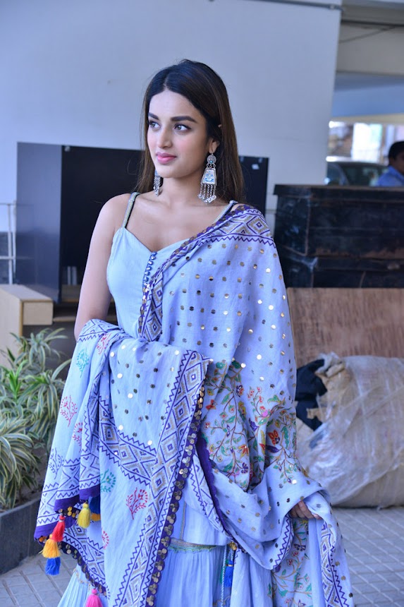 Nidhhi Agerwal in Savyasachi movie