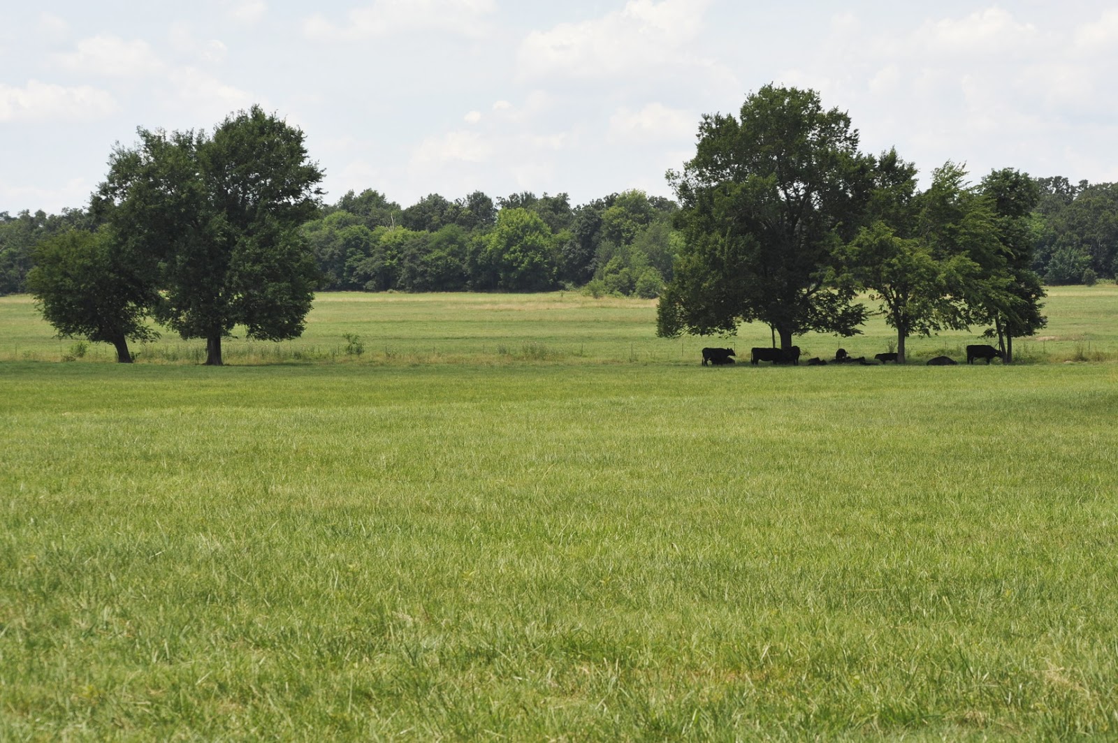 Traversée US par le Trans America Trail TAT journée 8 Beebe AR to