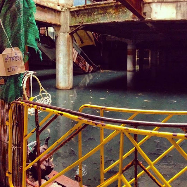 Imagens impressionantes de centros comerciais abandonados elfandarilha