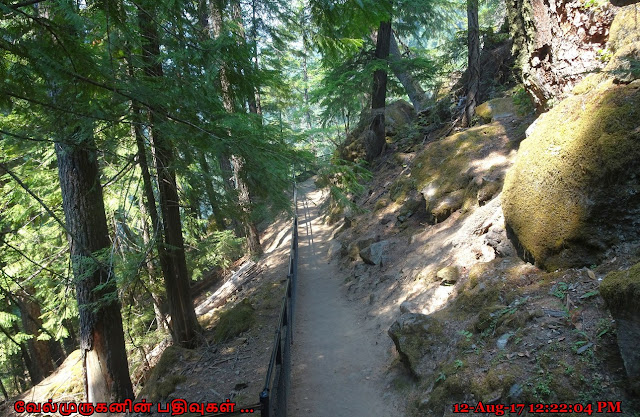 Hike to Toketee Falls Oregon