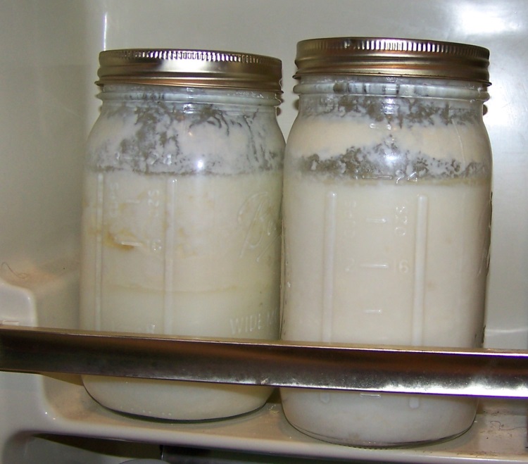Foods By God Making Homemade Kefir