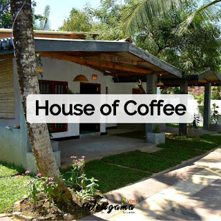 House of Coffee | Budget Hotels in Weligama Sri Lanka