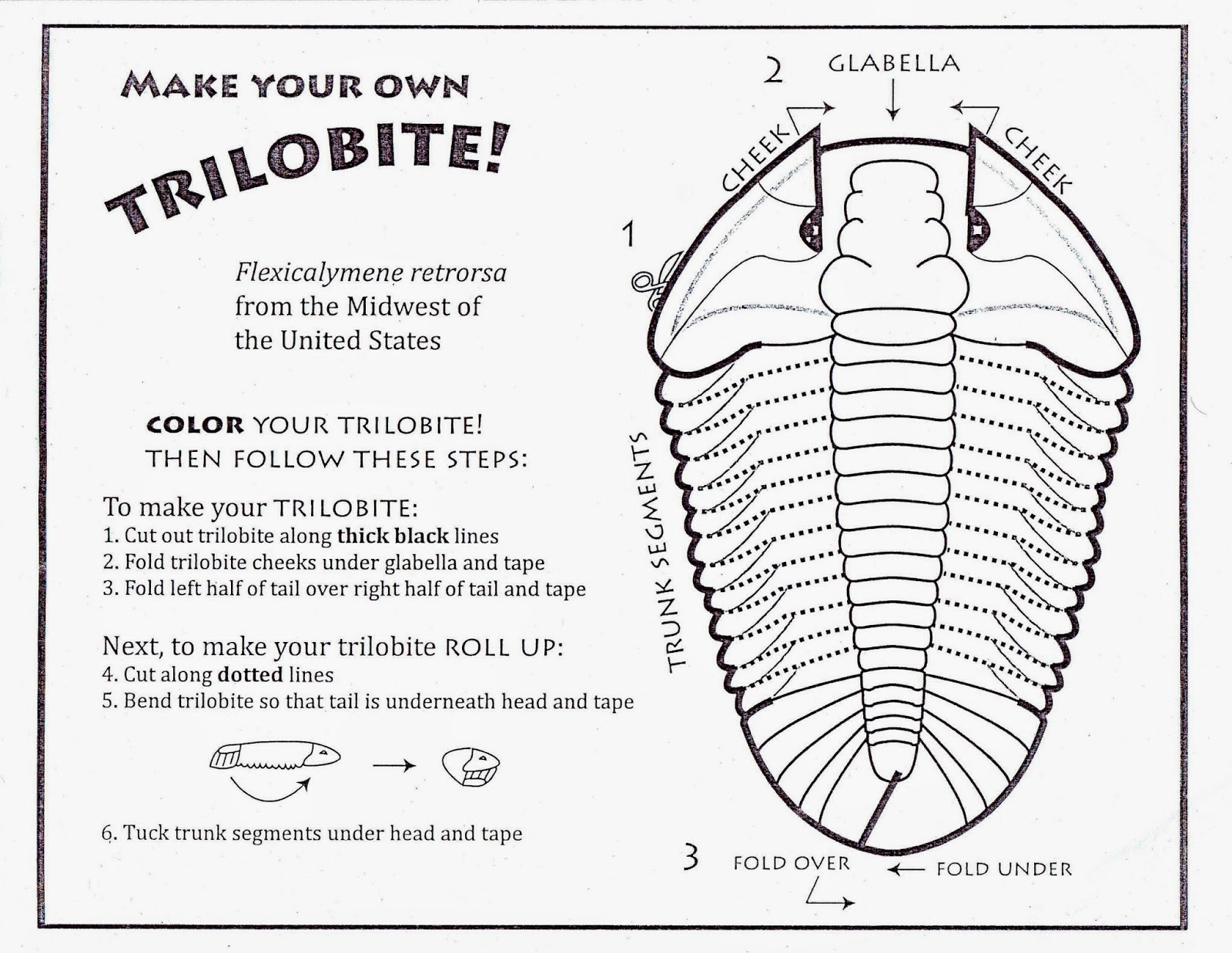 trilobite-kit.1