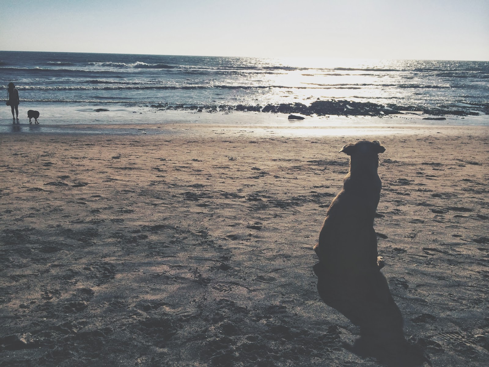 путешествие в Индия, самостоятельно в Индию, Гоа, пляжи Гоа, пляж Анжуна путешествие в Индия, самостоятельно в Индию, Гоа, пляжи Гоа, пляж Анжуна