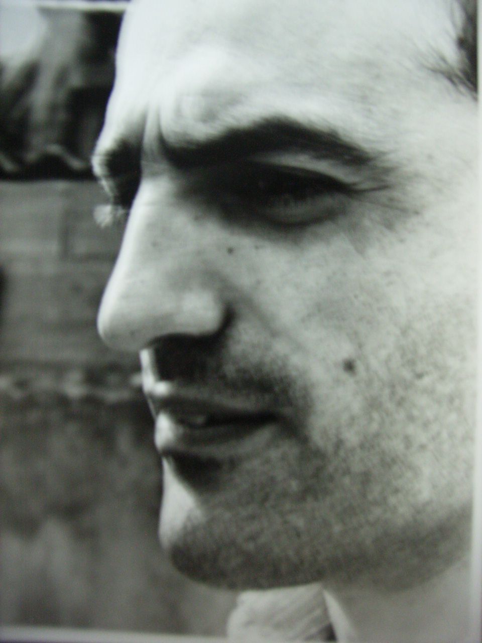 Armindo Guimarães