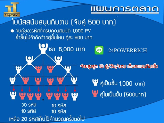 แผนธุรกิจ ทองอินทร์ ไทยแลนด์