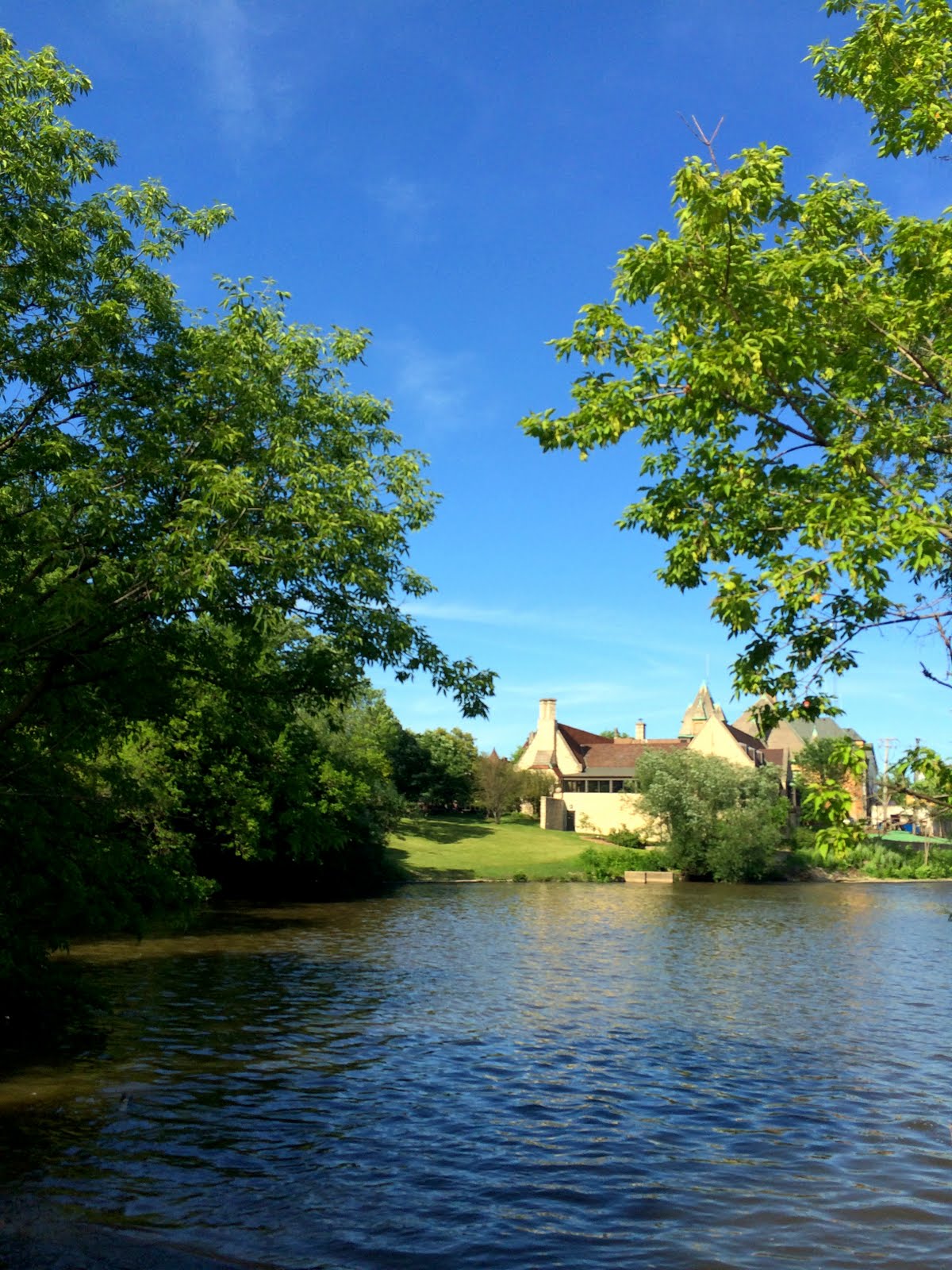 Swan Pond Summer 2014 in Riverside, Illinois