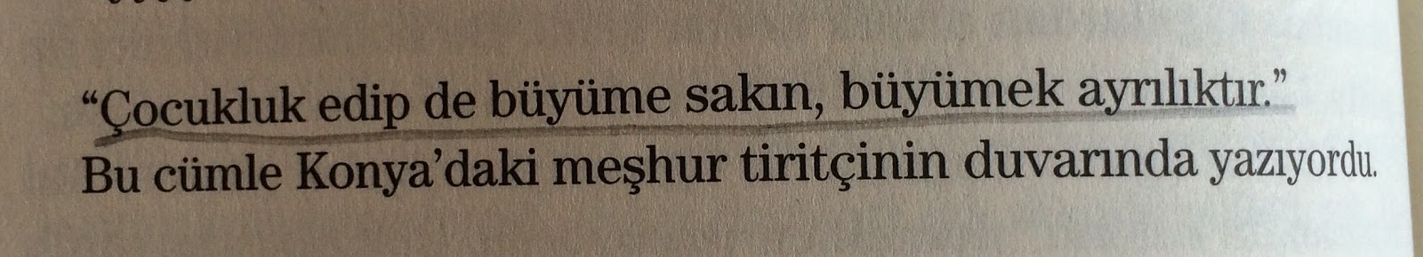 HEPİMİZ PAŞAYIZ! KEMAL, HADİ GEL Bİ KAHVE İÇELİM