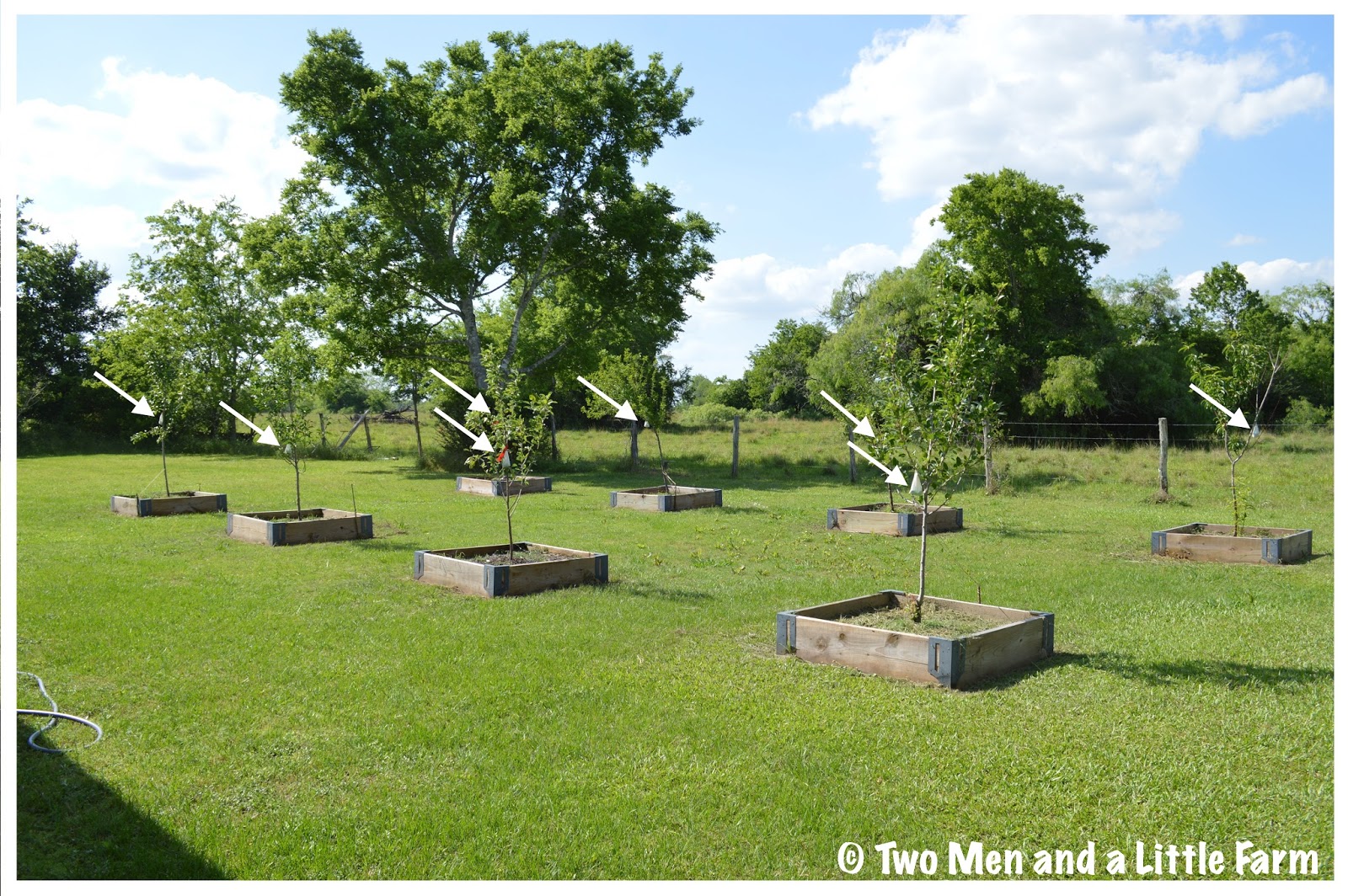 Two Men and a Little Farm IRISH SPRING SOAP DEER REPELLENT