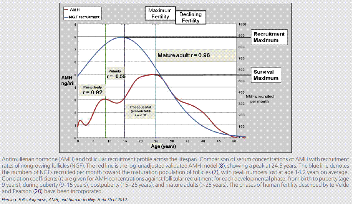 Normal Amh Levels By Age