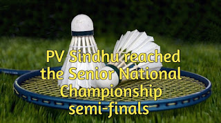 PV Sindhu reached the Senior National Championship semi-finals