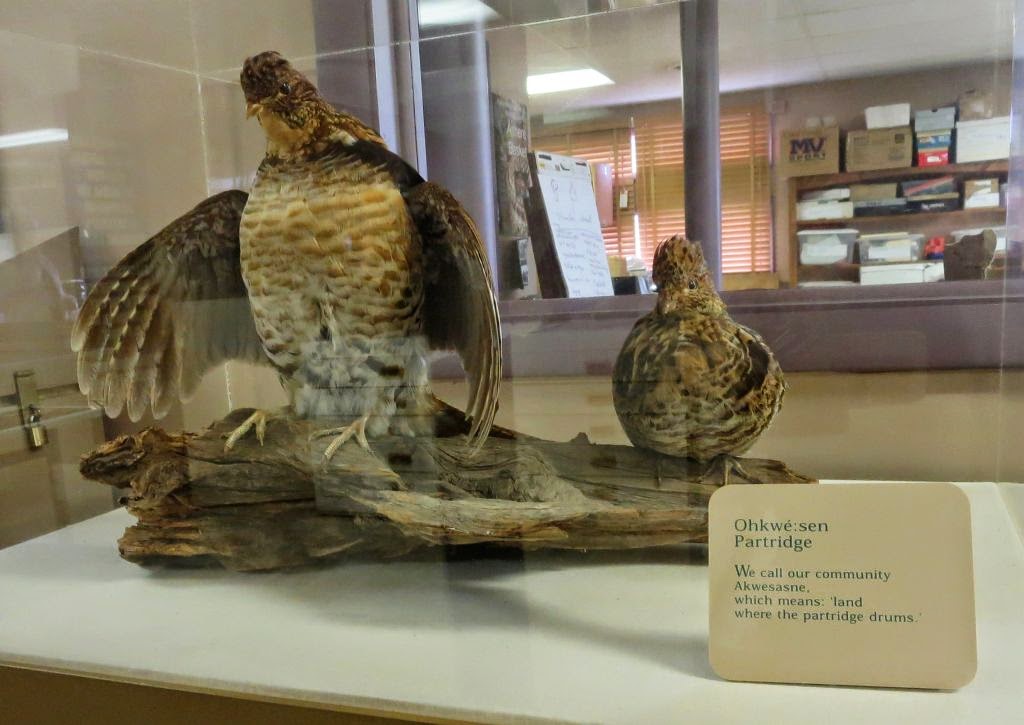 Windswept Adventure The Akwesasne Cultural Center Museum Part 1