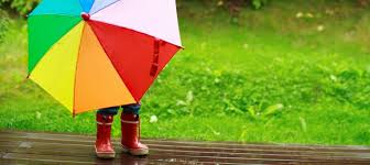 楽天市場激安特集 梅雨対策に安くて丈夫な傘はいかが 激安倉庫