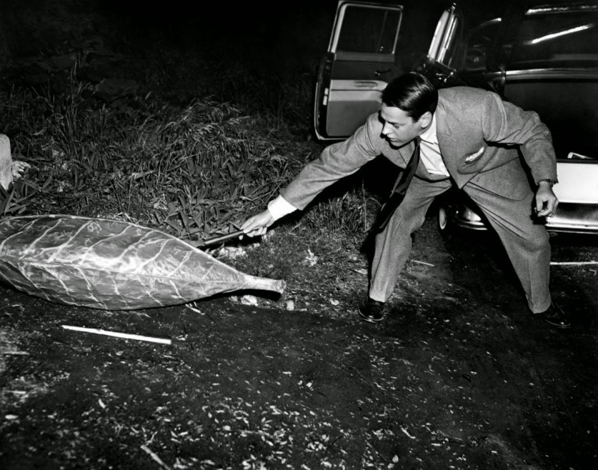 L Invasion Des Profanateurs De Sépultures 1956 Cat(s), Books & Rock 'n' Roll: UGC Culte: L'invasion des profanateurs