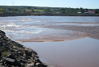 The Intrepid Tourist: CANADA’S BAY OF FUNDY: Watch a Tidal Bore Crawl