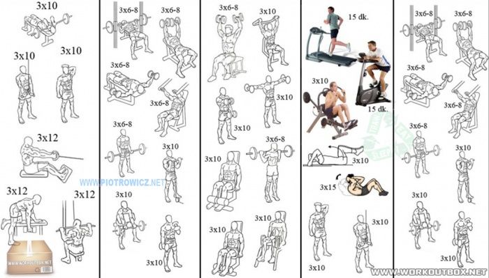 Sample Workouts for Beginner and Intermediate Body ...