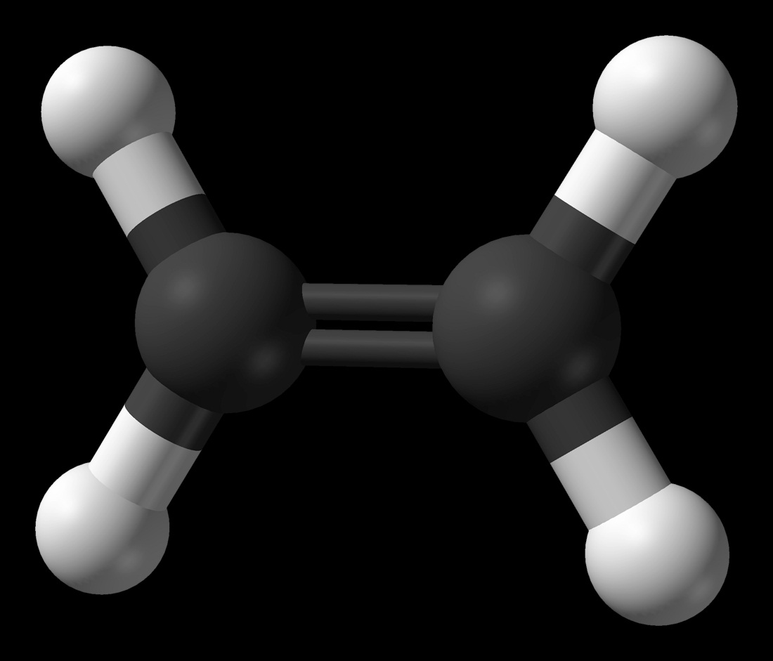 Этилена с2н4. Алкены молекулы. Модели молекул алкенов. Бутен 2 шаростержневая модель. Метан четыреххлористый углерод.