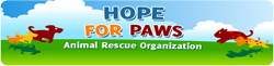 The Book of Barkley Supports Hope for Paws