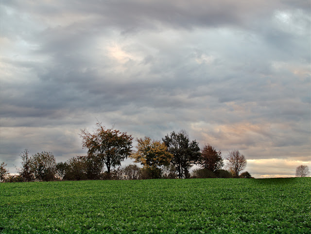 Herbstlandschaft bei Leopoldshöhe