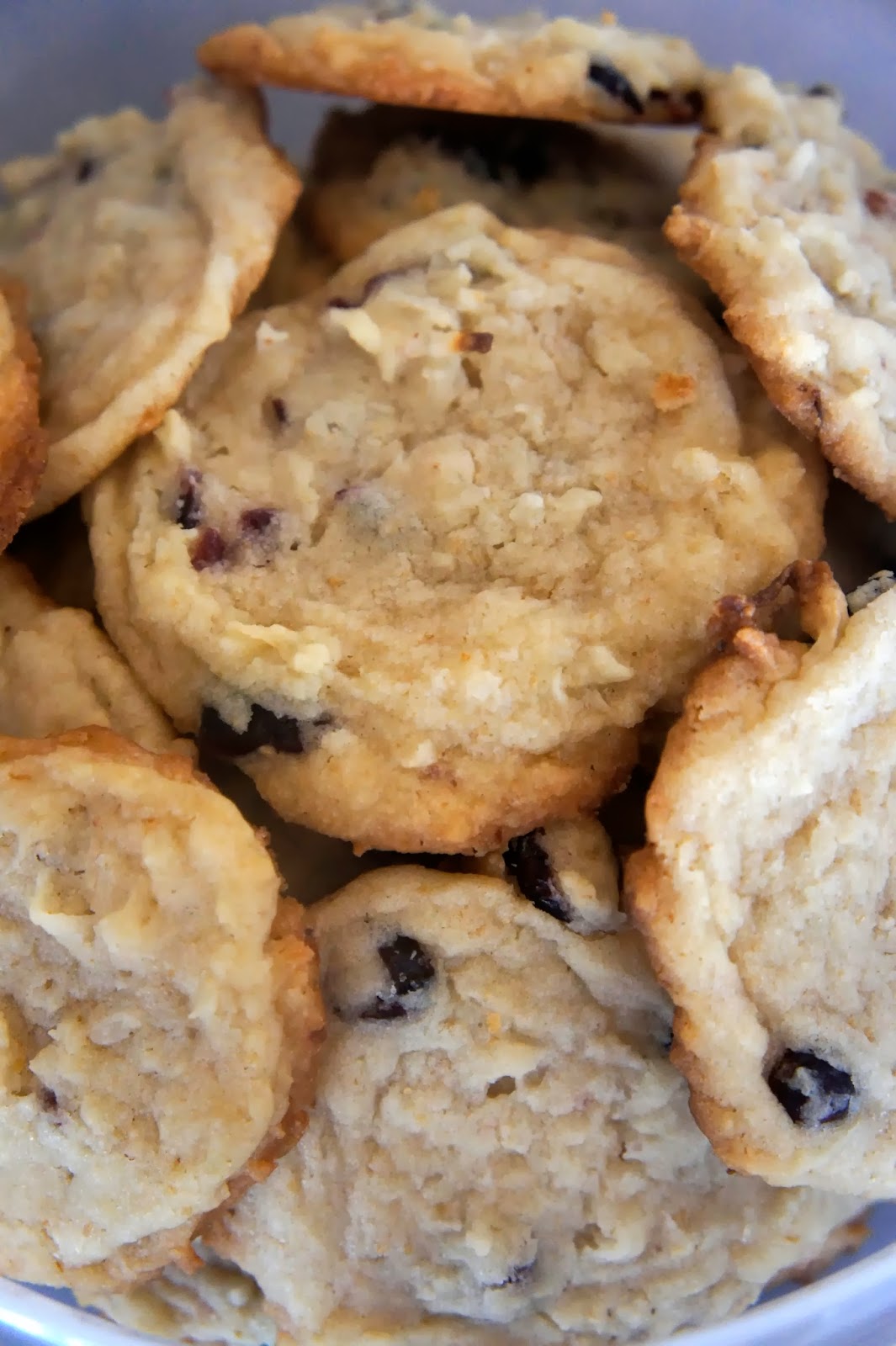Savory Sweet and Satisfying: Coconut Cranberry Cookies