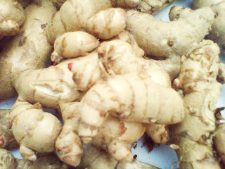 obat herbal ambeien paling ampuh