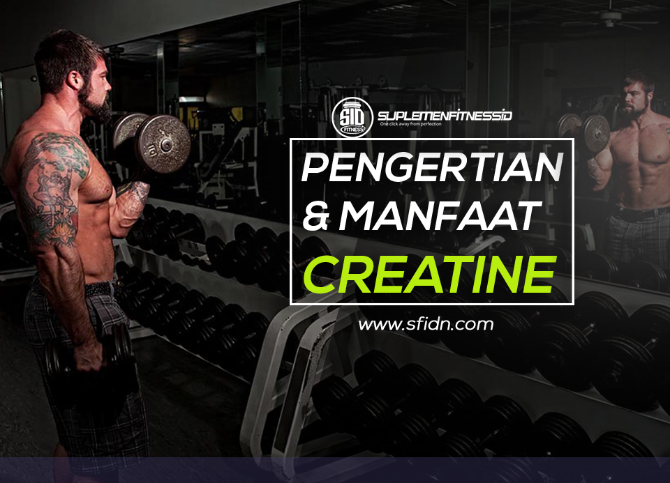 Pengertian dan Manfaat Lengkap Suplemen Creatine SFIDN Blog