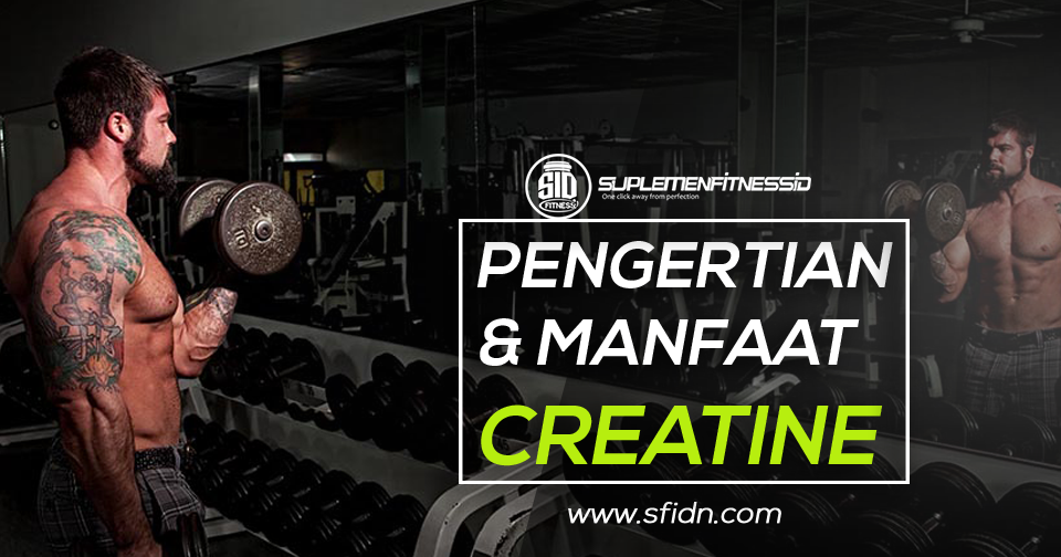 SFIDN Blog Pengertian dan Manfaat Lengkap Suplemen Creatine