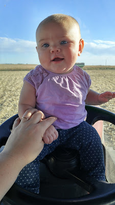 Having fun in the tractor with Mom - first harvest photos