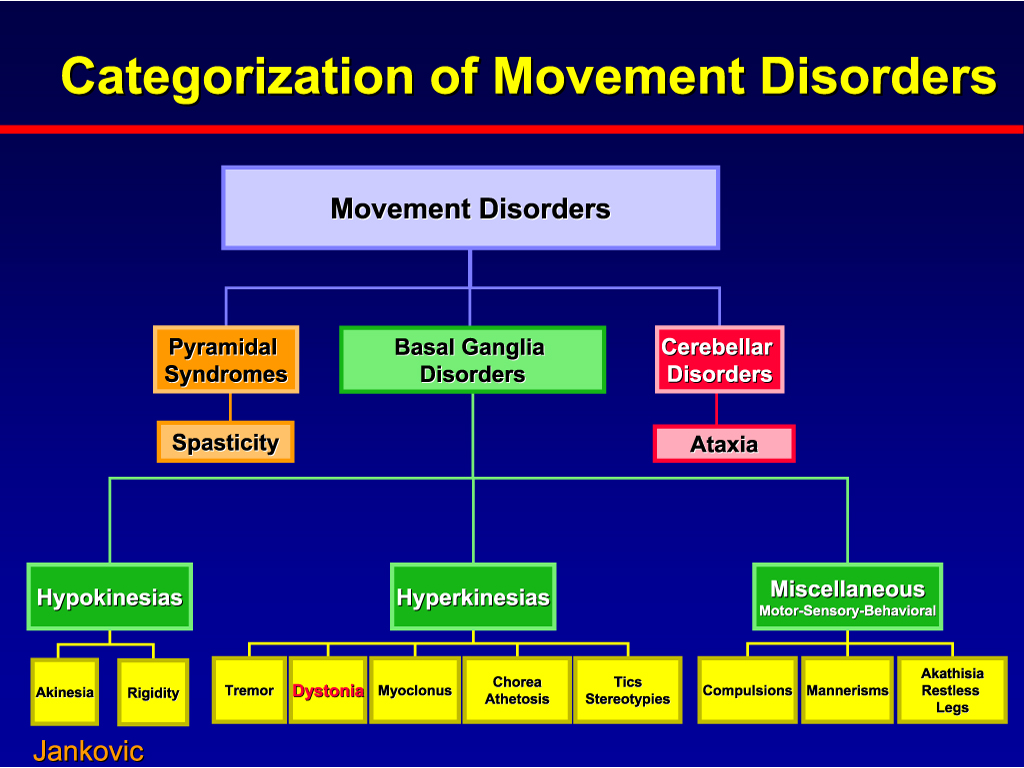 Find a Neurologist
