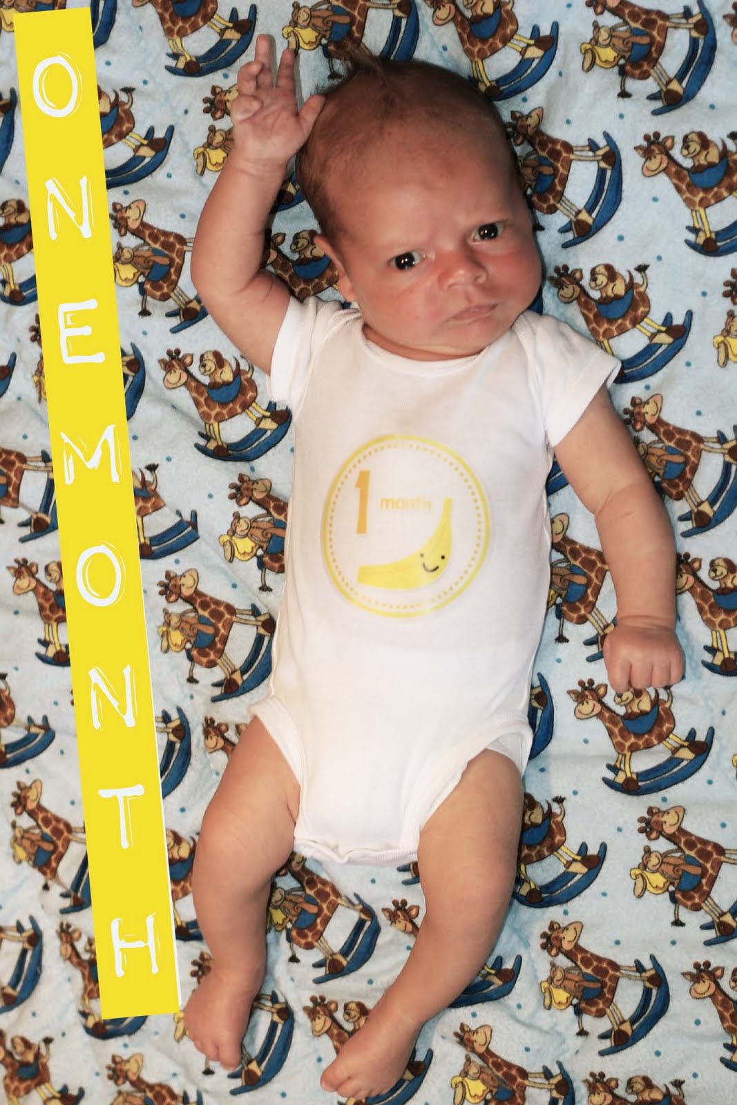 Sweet Sassy Studio 4 weeks old baby picture