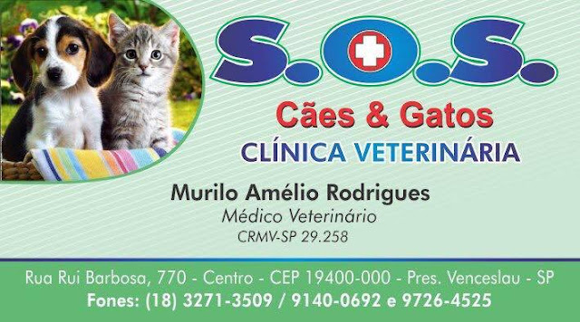 Resultado de imagem para clinica soso caes e gatos