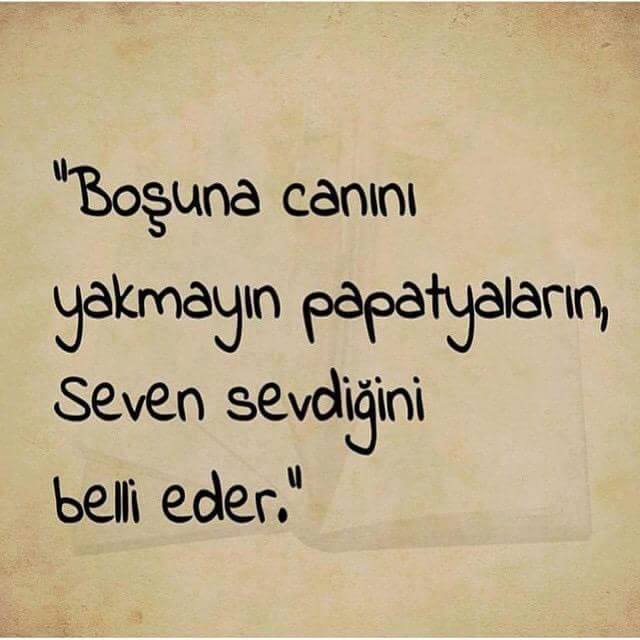 Yaşatılan Sözler Boşuna Canını Yakmayın Papatyaların, Seven Sevdiğini
