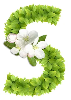 Abecedario con Hojas Verdes y Flores Blancas. Alphabet with Green Leaves and White Flowers.