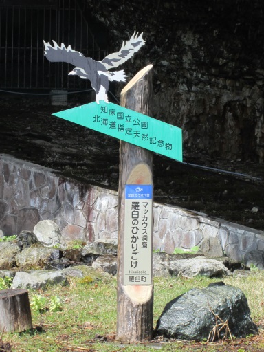 道東の旅 13 春 163 羅臼のひかりごけ Bojan International