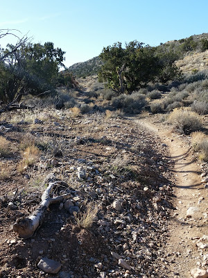 Just 20 miles away from Las Vegas is a beautiful series of trails - challenging, but not super technical - perfect for those new to trail running