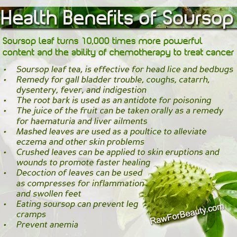 soursop benefits () soursop benefits