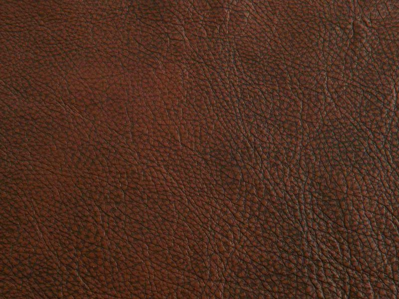 maygunrifanto Material Render Karpet kulit maygunrifanto Material Render Karpet kulit