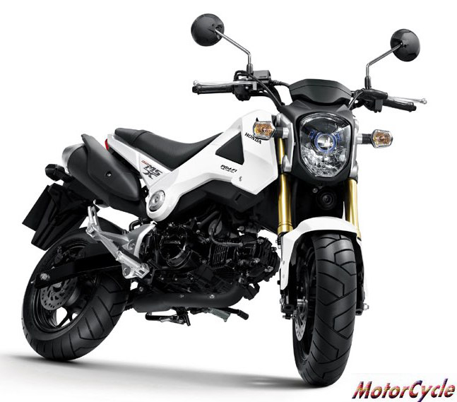 Honda MSX125 :Motorcycle