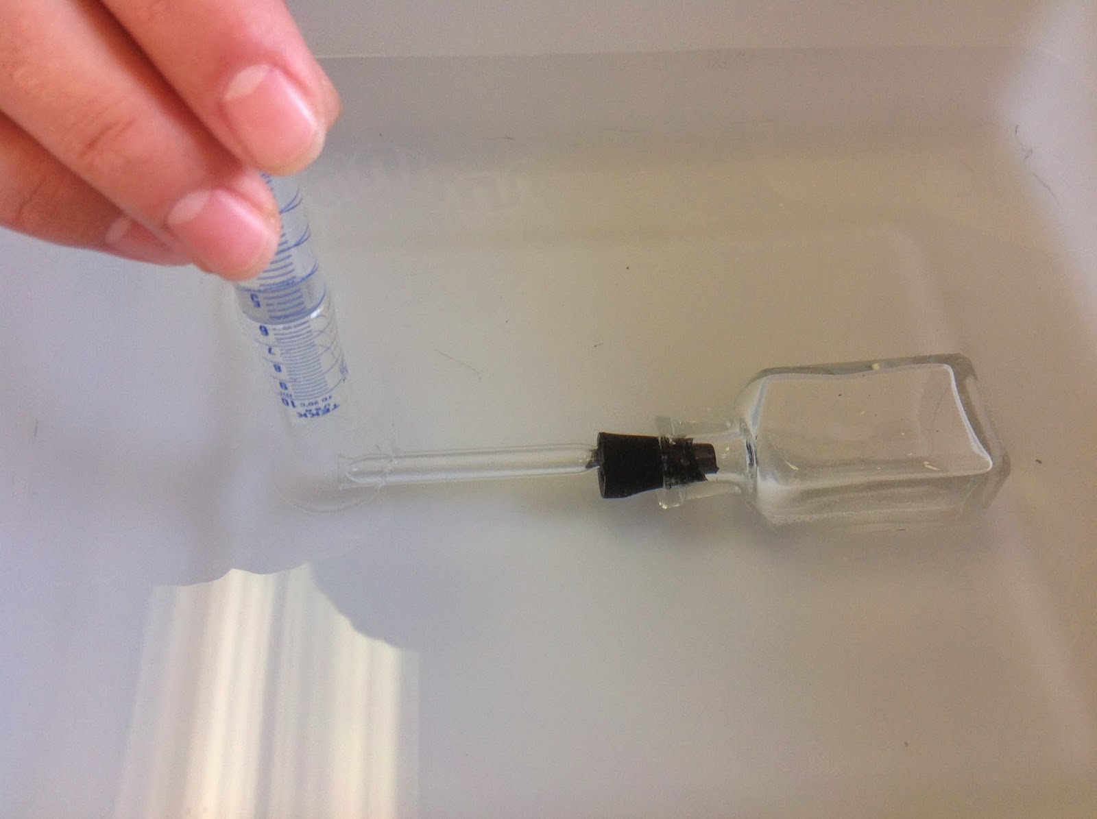 BrianBioBlog Catalase Lab