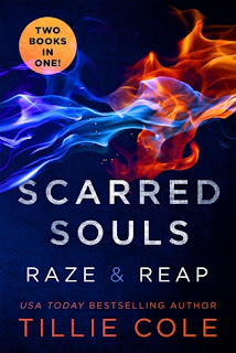https://www.goodreads.com/book/show/25857828-scarred-souls
