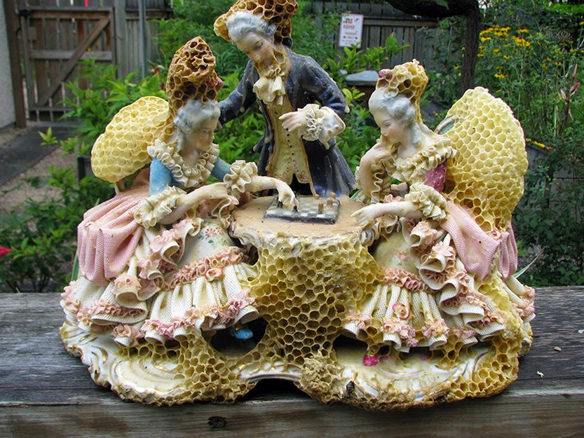 Bee wax honeycomb