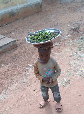 LITTLE BOY HAWKING LITTLE BOY HAWKING